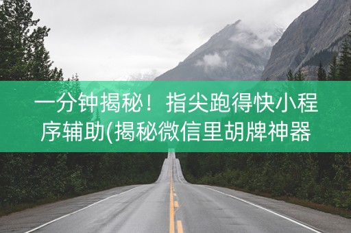 一分钟揭秘！指尖跑得快小程序辅助(揭秘微信里胡牌神器)