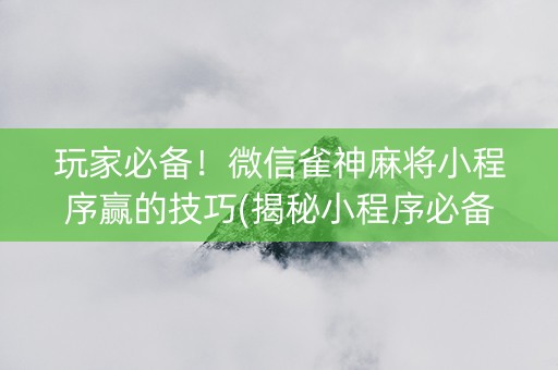 玩家必备！微信雀神麻将小程序赢的技巧(揭秘小程序必备神器)