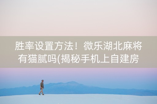 胜率设置方法！微乐湖北麻将有猫腻吗(揭秘手机上自建房怎么赢)