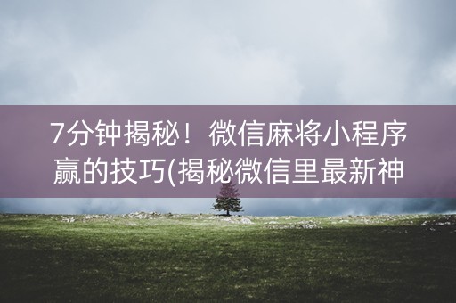 7分钟揭秘！微信麻将小程序赢的技巧(揭秘微信里最新神器下载)