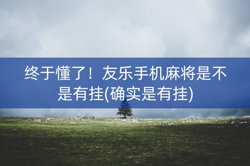 终于懂了！友乐手机麻将是不是有挂(确实是有挂)