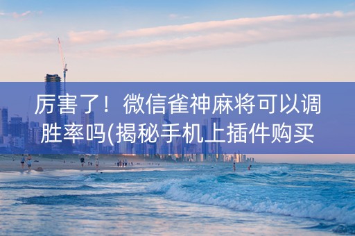 厉害了！微信雀神麻将可以调胜率吗(揭秘手机上插件购买)