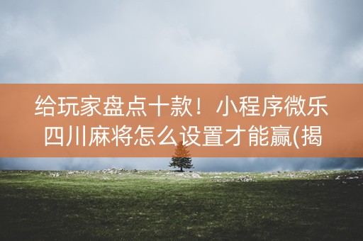给玩家盘点十款！小程序微乐四川麻将怎么设置才能赢(揭秘小程序自建房怎么赢)