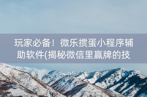 玩家必备！微乐掼蛋小程序辅助软件(揭秘微信里赢牌的技巧)