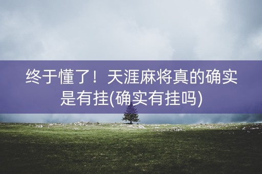 终于懂了！天涯麻将真的确实是有挂(确实有挂吗)