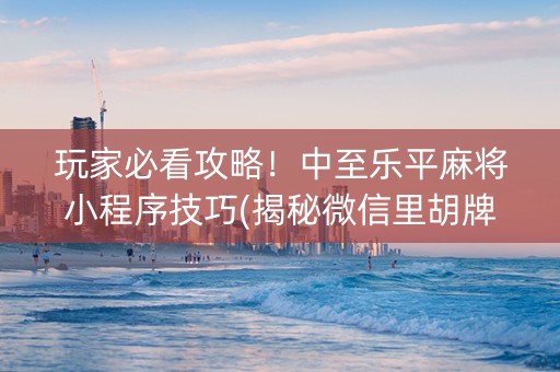 玩家必看攻略！中至乐平麻将小程序技巧(揭秘微信里胡牌神器)