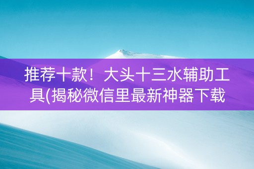 推荐十款！大头十三水辅助工具(揭秘微信里最新神器下载)