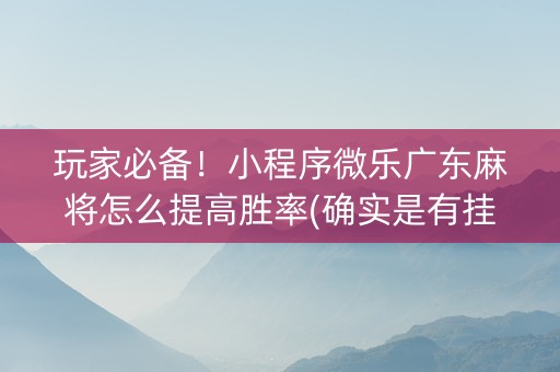 玩家必备！小程序微乐广东麻将怎么提高胜率(确实是有挂的)