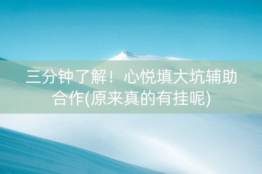 三分钟了解！心悦填大坑辅助合作(原来真的有挂呢)