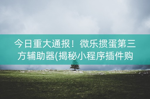 今日重大通报！微乐掼蛋第三方辅助器(揭秘小程序插件购买)