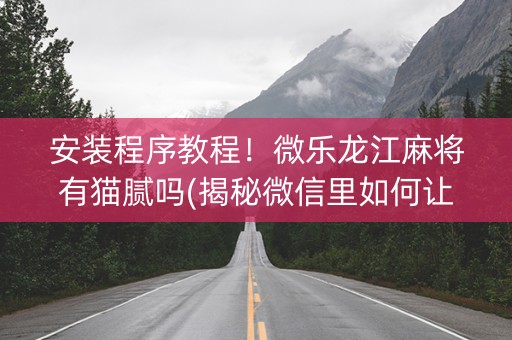安装程序教程！微乐龙江麻将有猫腻吗(揭秘微信里如何让牌变好)