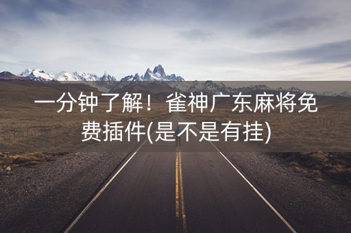 一分钟了解！雀神广东麻将免费插件(是不是有挂)