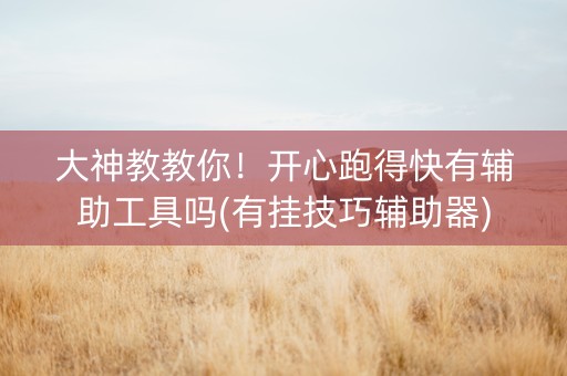 大神教教你！开心跑得快有辅助工具吗(有挂技巧辅助器)