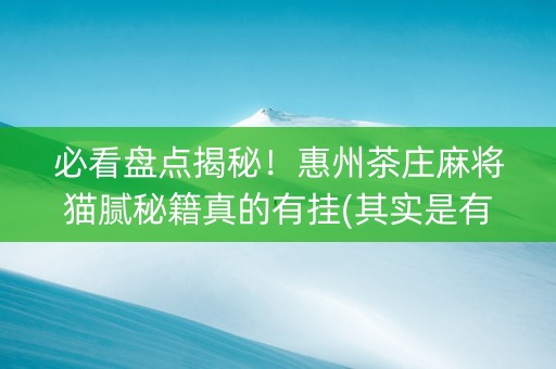 必看盘点揭秘！惠州茶庄麻将猫腻秘籍真的有挂(其实是有挂的)