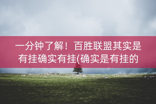 一分钟了解！百胜联盟其实是有挂确实有挂(确实是有挂的)