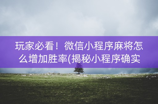 玩家必看！微信小程序麻将怎么增加胜率(揭秘小程序确实有猫腻)