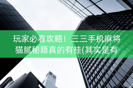 玩家必看攻略！三三手机麻将猫腻秘籍真的有挂(其实是有挂的)