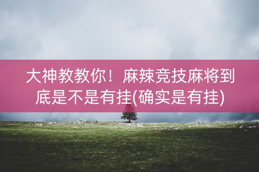 大神教教你！麻辣竞技麻将到底是不是有挂(确实是有挂)