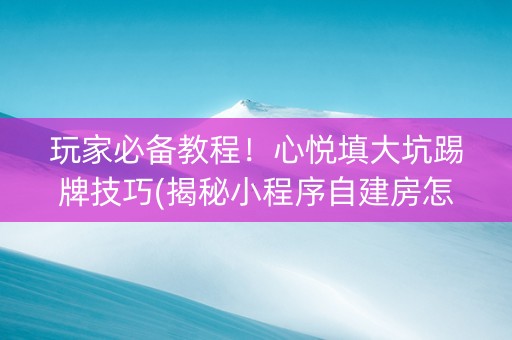 玩家必备教程！心悦填大坑踢牌技巧(揭秘小程序自建房怎么赢)