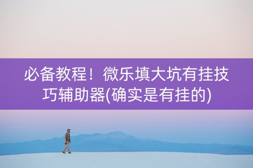 必备教程！微乐填大坑有挂技巧辅助器(确实是有挂的)