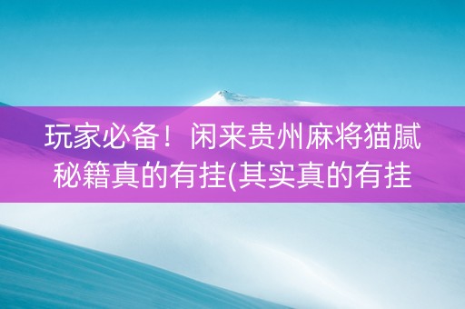 玩家必备！闲来贵州麻将猫腻秘籍真的有挂(其实真的有挂)