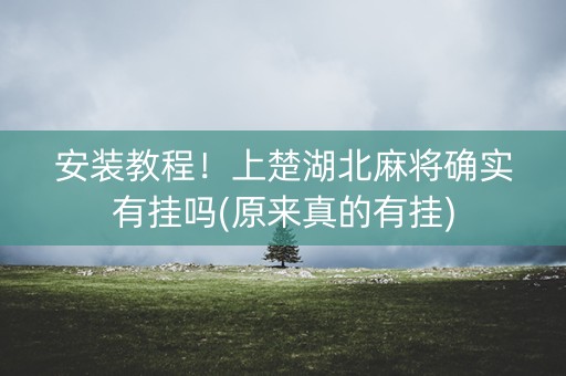 安装教程！上楚湖北麻将确实有挂吗(原来真的有挂)