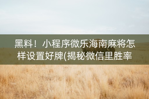 黑料！小程序微乐海南麻将怎样设置好牌(揭秘微信里胜率到哪调)