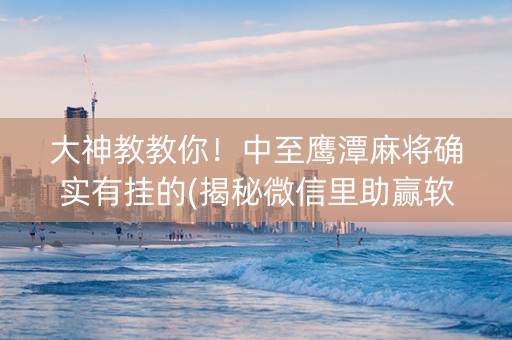 大神教教你！中至鹰潭麻将确实有挂的(揭秘微信里助赢软件)