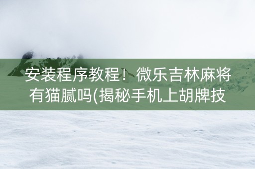 安装程序教程！微乐吉林麻将有猫腻吗(揭秘手机上胡牌技巧)