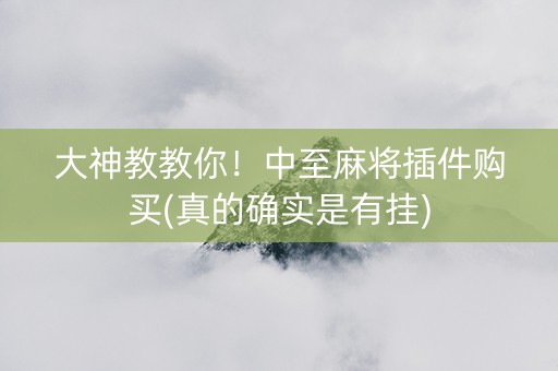 大神教教你！中至麻将插件购买(真的确实是有挂)