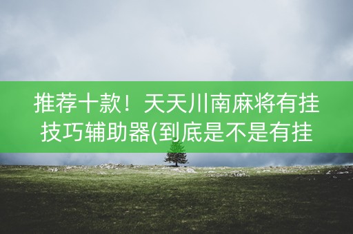 推荐十款！天天川南麻将有挂技巧辅助器(到底是不是有挂)