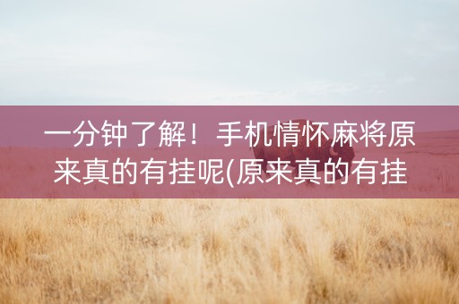 一分钟了解！手机情怀麻将原来真的有挂呢(原来真的有挂)
