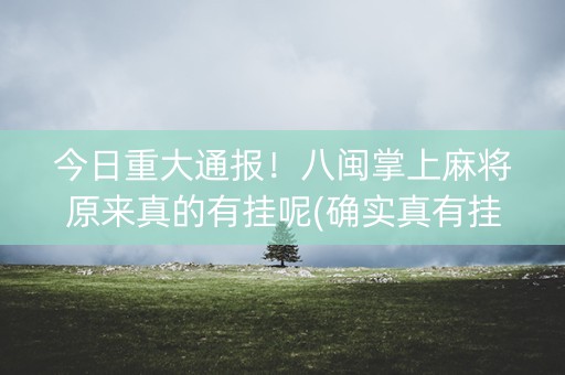 今日重大通报！八闽掌上麻将原来真的有挂呢(确实真有挂)