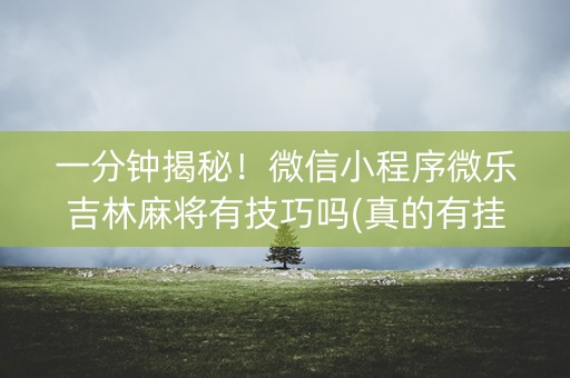 一分钟揭秘！微信小程序微乐吉林麻将有技巧吗(真的有挂确实有挂)