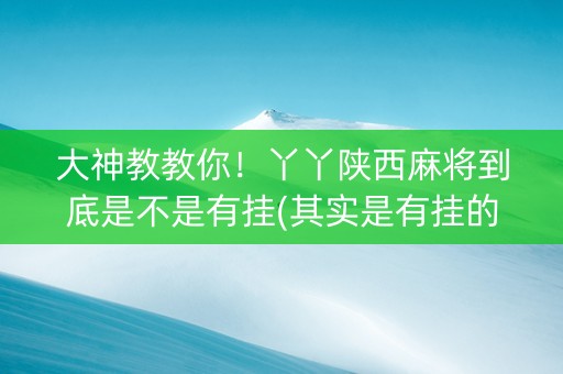 大神教教你！丫丫陕西麻将到底是不是有挂(其实是有挂的)