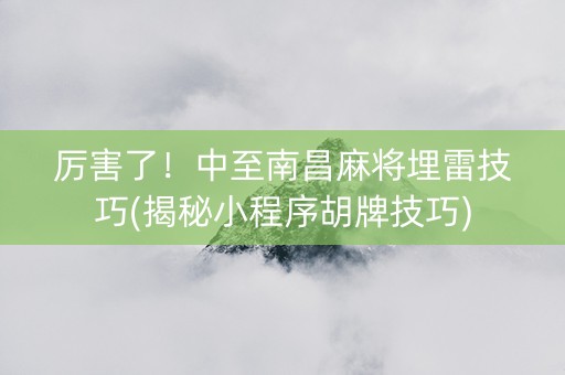厉害了！中至南昌麻将埋雷技巧(揭秘小程序胡牌技巧)