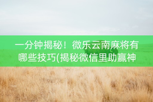 一分钟揭秘！微乐云南麻将有哪些技巧(揭秘微信里助赢神器购买)