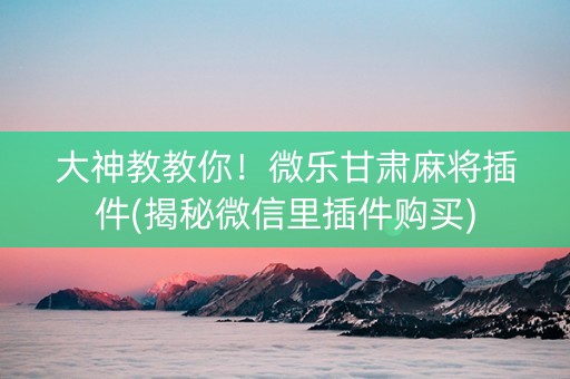 大神教教你！微乐甘肃麻将插件(揭秘微信里插件购买)