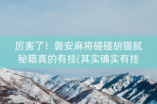 厉害了！磐安麻将碰碰胡猫腻秘籍真的有挂(其实确实有挂)