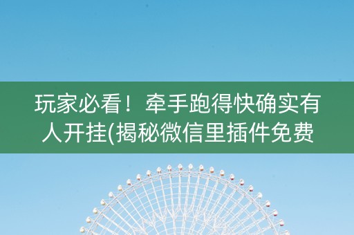 玩家必看！牵手跑得快确实有人开挂(揭秘微信里插件免费)