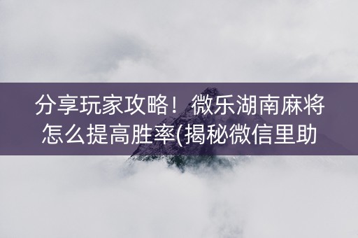 分享玩家攻略！微乐湖南麻将怎么提高胜率(揭秘微信里助赢神器购买)