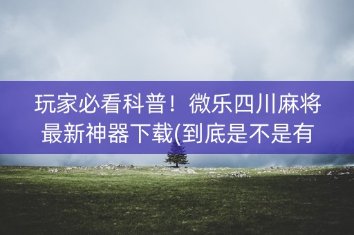 玩家必看科普！微乐四川麻将最新神器下载(到底是不是有挂)