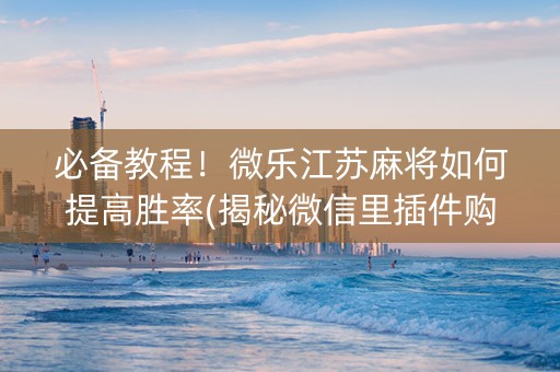 必备教程！微乐江苏麻将如何提高胜率(揭秘微信里插件购买)