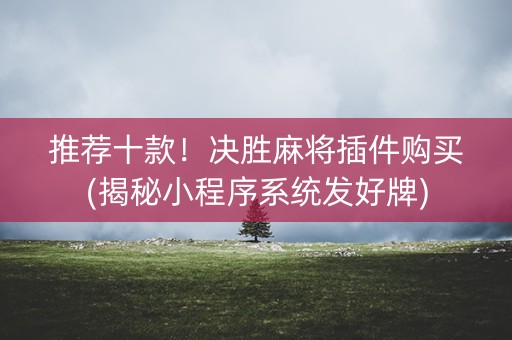 推荐十款！决胜麻将插件购买(揭秘小程序系统发好牌)