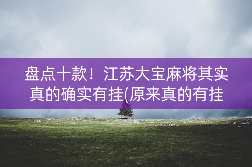 盘点十款！江苏大宝麻将其实真的确实有挂(原来真的有挂)