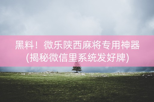 黑料！微乐陕西麻将专用神器(揭秘微信里系统发好牌)