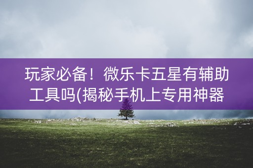 玩家必备！微乐卡五星有辅助工具吗(揭秘手机上专用神器下载)