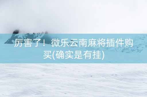 厉害了！微乐云南麻将插件购买(确实是有挂)