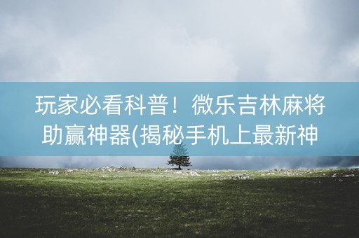 玩家必看科普！微乐吉林麻将助赢神器(揭秘手机上最新神器下载)