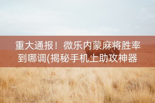 重大通报！微乐内蒙麻将胜率到哪调(揭秘手机上助攻神器)